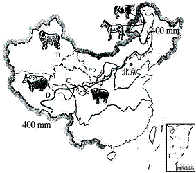 (2)a,b,c,d四大牧区中,三河马和三河牛产