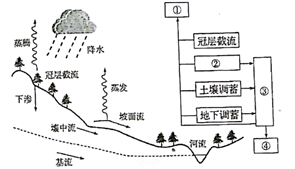 下图为"某河流径流形成过程示意图 据此.完成下面小题.