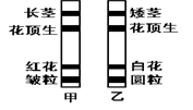 不遵循孟德尔遗传定律_孟德尔遗传定律教案范文_孟德尔发现的遗传定律