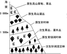下图为"某山脉山坡的垂直植被分布图",据此完成下列各题.