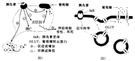 image001.png