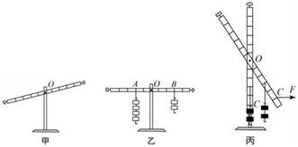 在"探究杠杆的平衡条件"实验中.