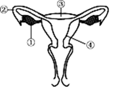 image022.png