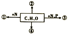 image009.png