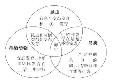 完全变态发育的昆虫一生要经过