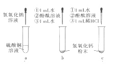 (1)在a试管中加入约2ml硫酸铜溶液,然后滴入几滴氢氧化钠溶液,观察到