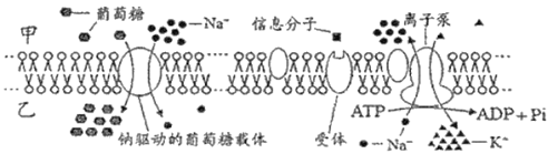 组卷网/e卷通-学科网