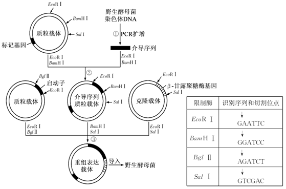 云南常见pcr技术,云南常见pcr技术有哪些