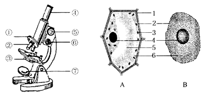 下图分别为显微镜结构和细胞结构示意图,请据图回答下列问题