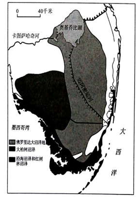 分析运河排水和防洪系统工程引起生态环境恶化的原因.