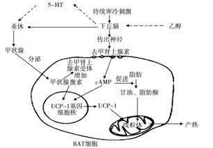 image001.png