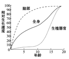海马体在大脑什么位置图 image001.png