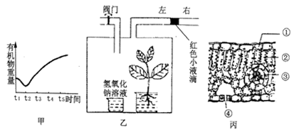 image005.png