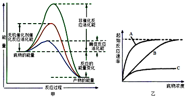 烧心是什么原理_烧心吃什么药(3)