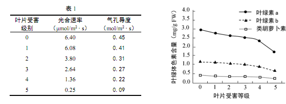 (注:气孔导度越大,气孔开放程度越高)