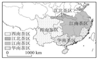 《茶经》中云:"茶者,南方之嘉木也."20世纪50年代,"南