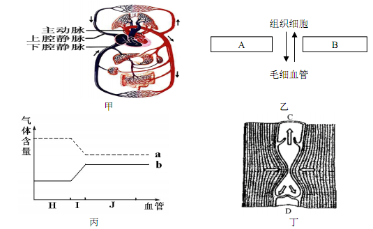 人体血液循环由体循环和肺循环组成,它们共同循环规律是:心室→动脉图片