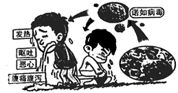image015.png