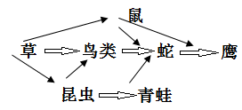 (1)图中食物网共有_______条食物链,生产者是_______.