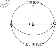 2018年南通第一初级中学生物会考模拟测试题