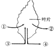 2018年南通第一初级中学生物会考模拟测试题