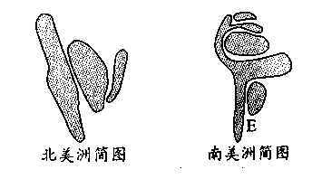 ޺޵μͼ,С.