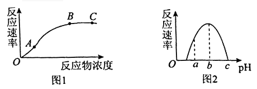 为了探究反应物浓度对酶催化反应速率的影响,某科研小组在最适温度和