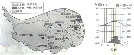 青藏地区发展河谷农业是因为河谷地带