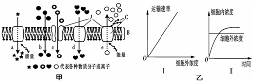 高中生物综合库 分子与细胞 细胞的代谢 物质出入细胞的方式 被动运输