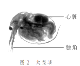 禁止访问