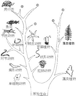image001.png