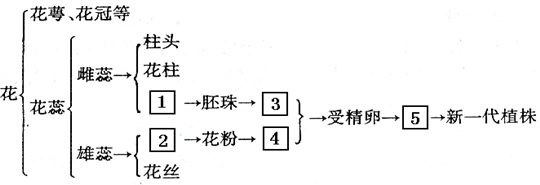 某中学七年级生物兴趣小组,决定对小麦的一生进行研究