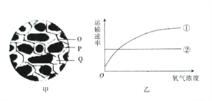 什么叫质壁分离现象 image005.png