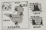 东非高原的角马,逐水草定期迁徙.读图判断下列叙述正确的是