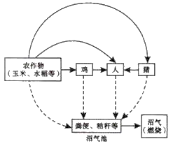 请分猪-沼-菜猪沼果生态模式图农业生态系统退化南方猪沼果生态模式