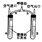 物质的运输 呼吸系统 呼吸系统的组成(1)检验二氧化碳的方法是