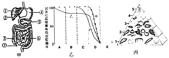 结构图,图乙表示淀粉,蛋白质和脂肪三种物质在消化道内的消化曲线图