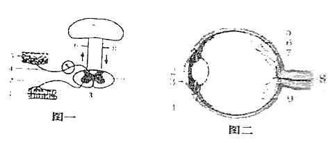 image017.png