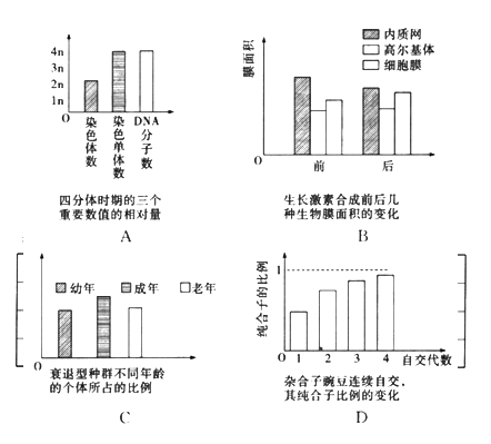 人类常染色体上的β-珠蛋白基因(a