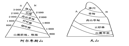 (加试题)读中国三座名山自然带分布示意图,完成下列各