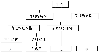 image002.png