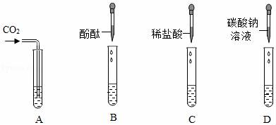 们在验证氢氧化钙的化学性质时,分别取少量氢氧化钙溶液于四支试管中