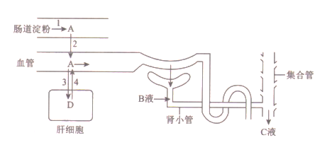 image005.png