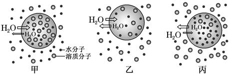 高中生物综合库 分子与细胞 细胞的代谢 物质跨膜运输的实例 渗透作用