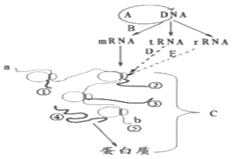 image003.png