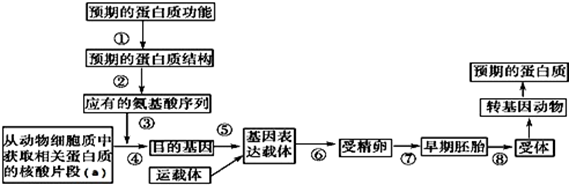 如图是生产某种特定蛋白质的工程技术模式图,相关说法