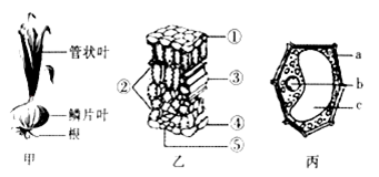image001.png