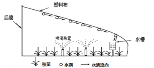 下图为某家庭农场设计的改进型大棚示意图.读图完成下面小题.