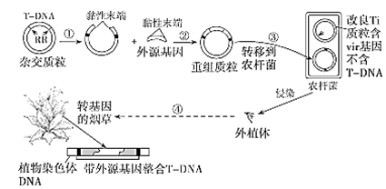 image005.png