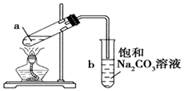 1-丁醇和乙酸在浓硫酸作用下,通过酯化反应制得乙酸正